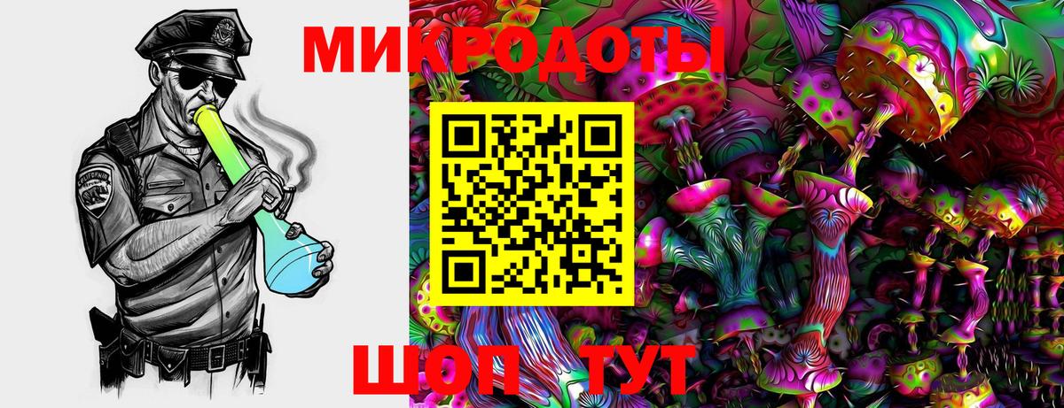 Псилоцибиновые грибы мицелий  Вход с VPN  сколько стоит  Ахтубинск 